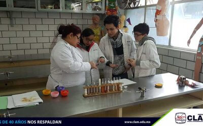 Práctica de ph potencial de hidrogeno