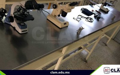 Laboratorios totalmente equipados