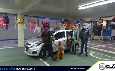 Revisión Mochila segura