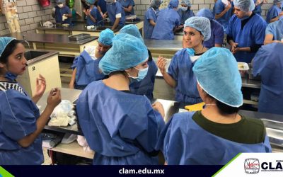 Técnicas de sutura