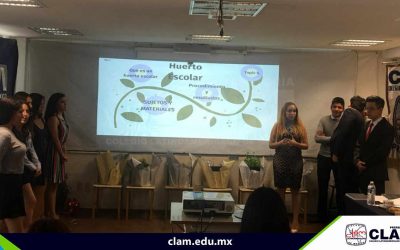 Proyecto conexiones